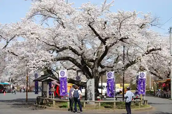 Sannohe Spring Festival