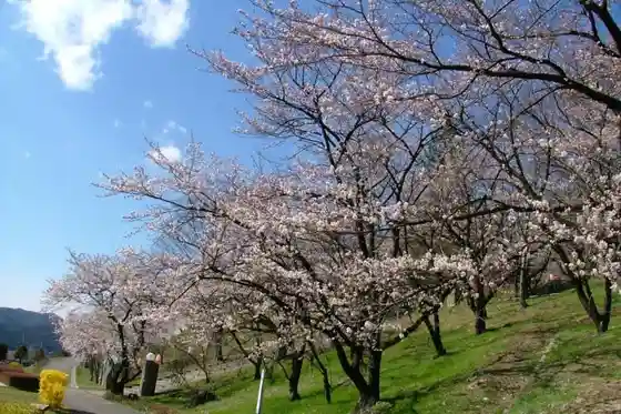 Katayama Park