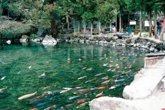 Izuruhara Benten Pond and Isoyama Benzaiten (Isoyama Park)