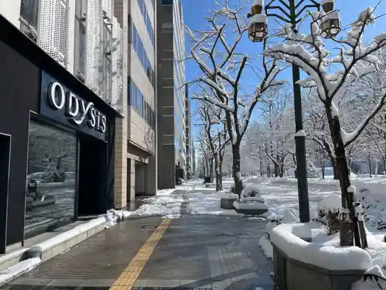 Odishisu Sapporo Odori Park Hotel