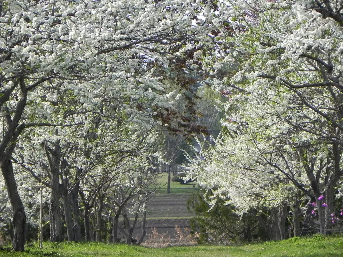 Sarabetsu, Hokkaido