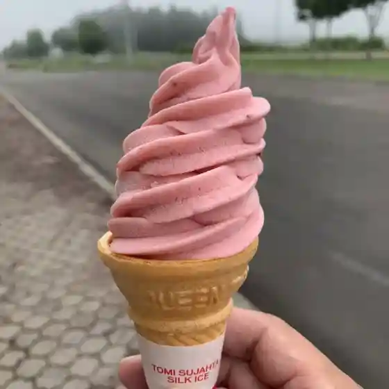 プラムハウス