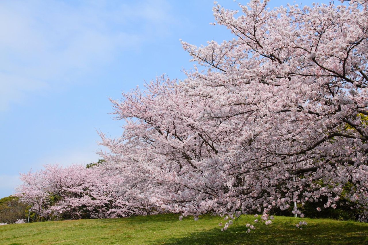 Hoshitsukushi Park