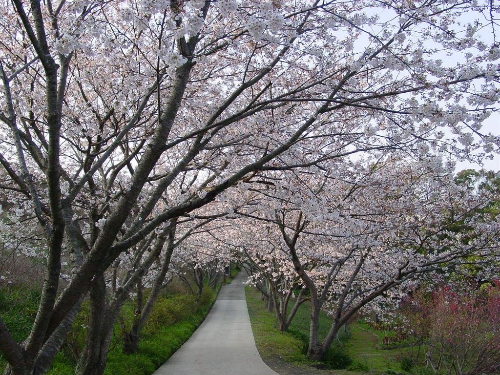 Hana no Mori Park