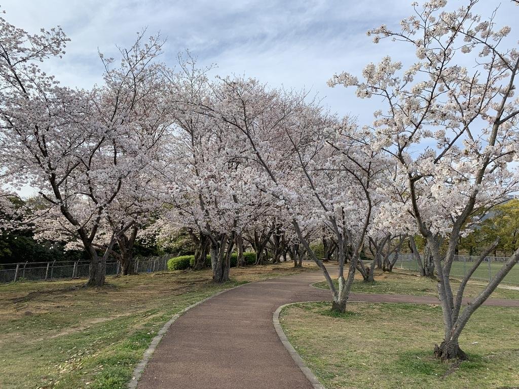 Tenjin Park