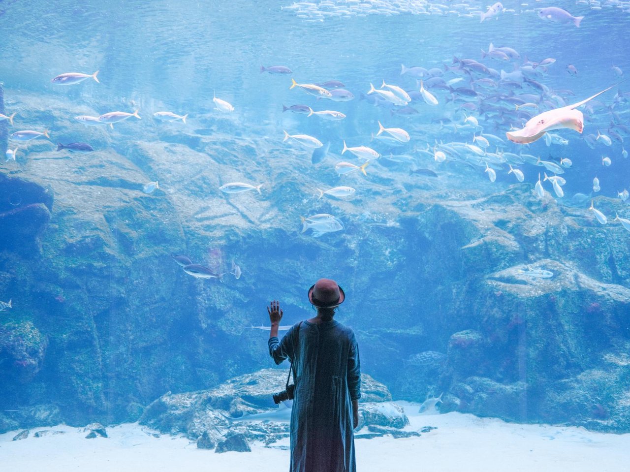 Kujukushima Aquarium Umi Kirara