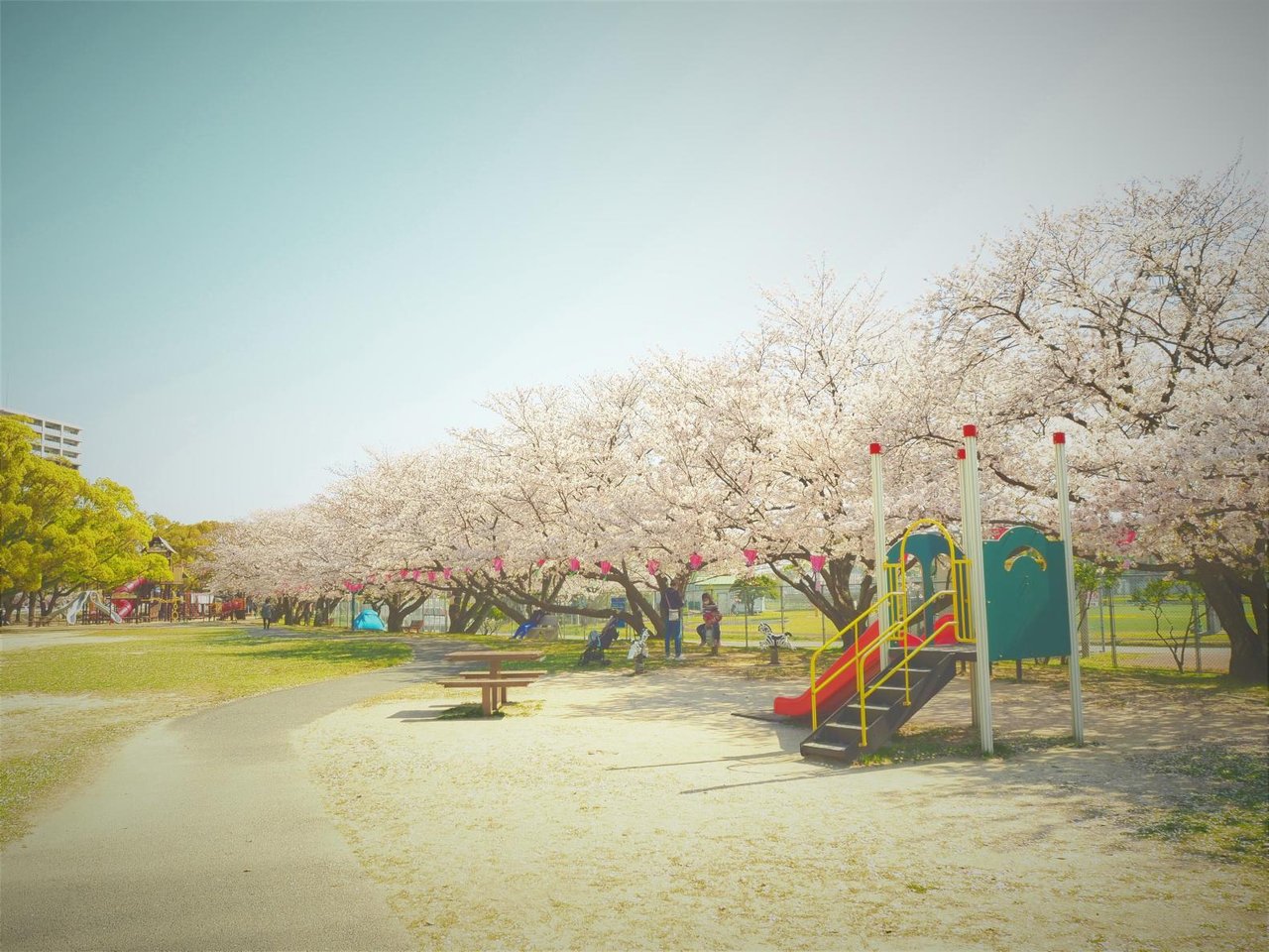 Sasebo Park