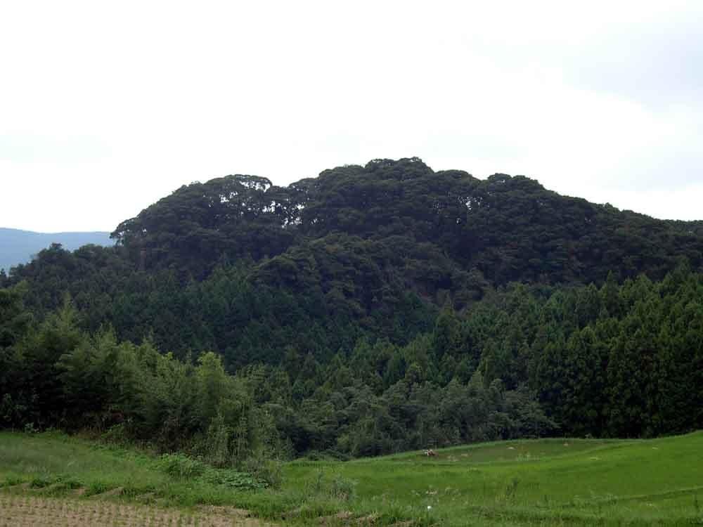 Naotani Castle Ruins