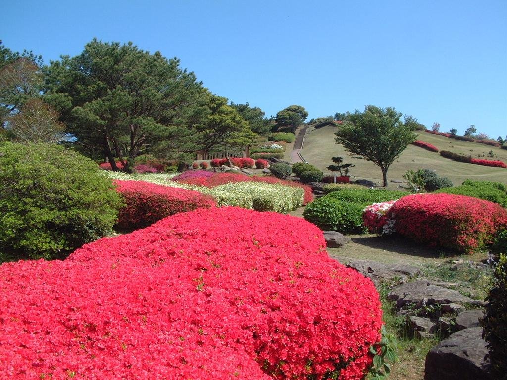 Hiyamizudake Park