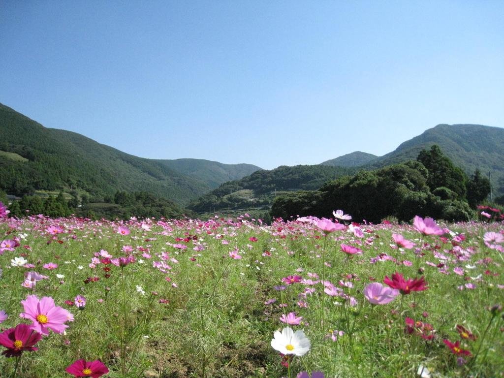 Mount Kunimi