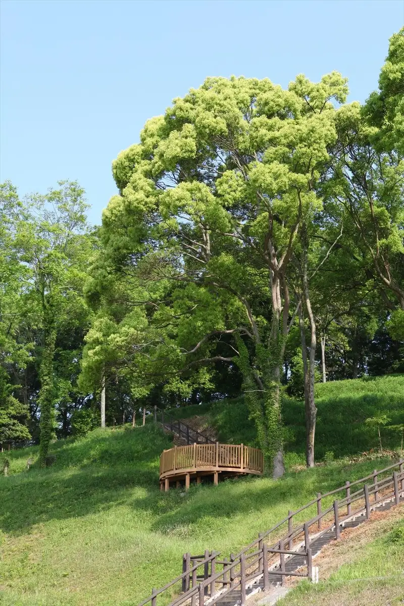 Tsubaki no Oka Sports Park