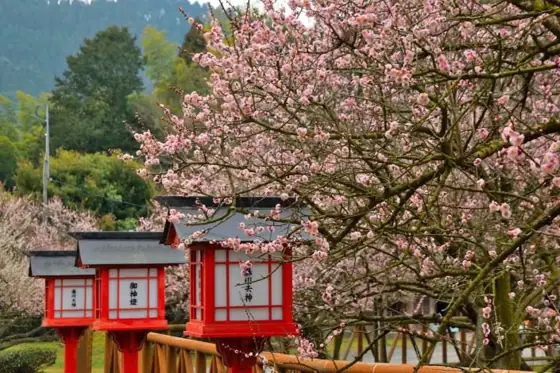 Fujikawa Tenjin Shrine (Garyubai)