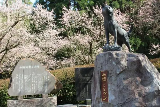 Bronze Statue of Saigo Takamori's Dog Tsun