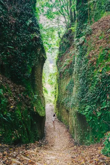 Kiyoshiro Castle Ruins Trench