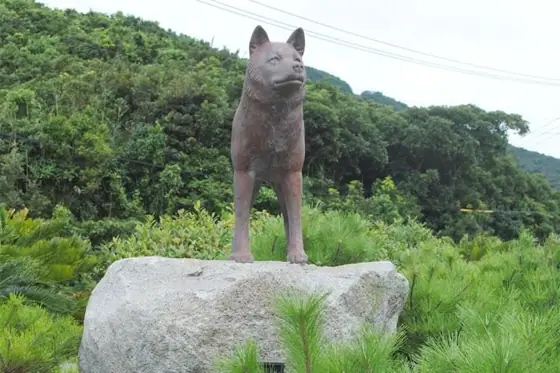 Solitary Island Wild Dog Monument