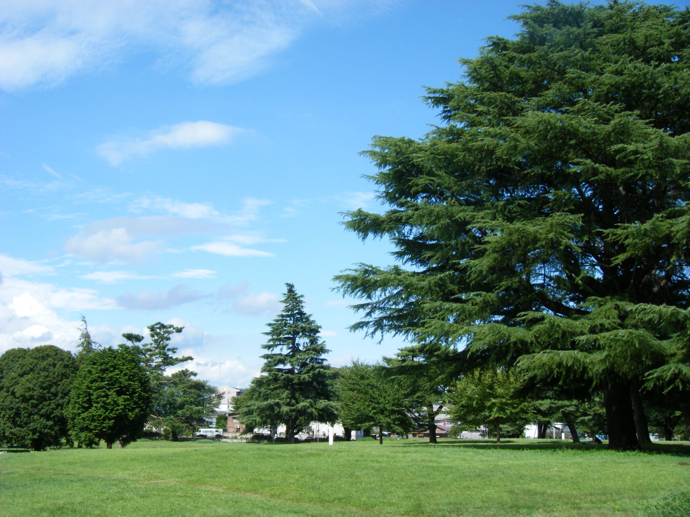 Emi Park Sayama Inariyama