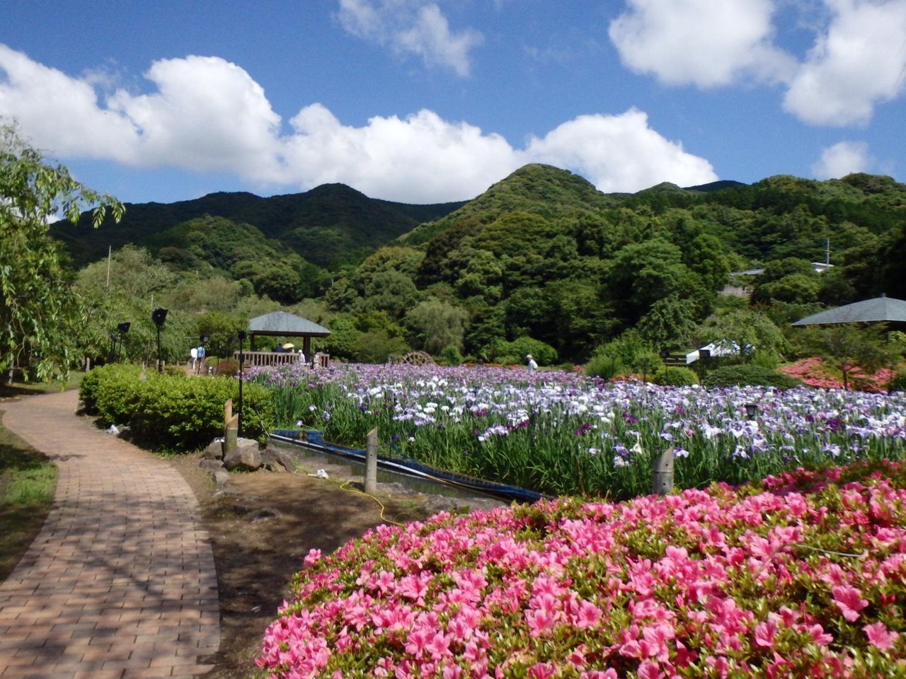 Saza Sarayama Park