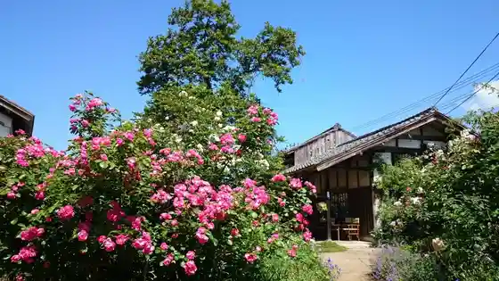 Kuni Toroku Yukei Bunkazai Ninomiya Ie Garden (Josho Sono) to Bara Sono