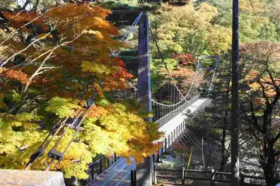 Arakawa Kyo Momiji Line Taka no Su Suspension Bridge