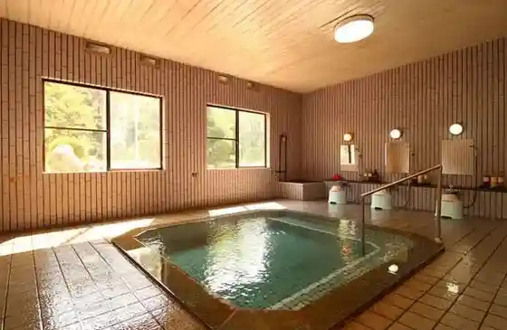 Unmo Onsen (Echigosekikawa Onsen Sato)