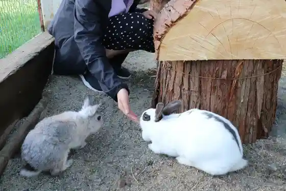 Oishi Damu Kohan Kenmin Kyuyochi