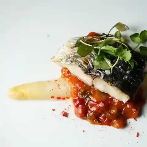 BiXiGARRi （ビシガリ）