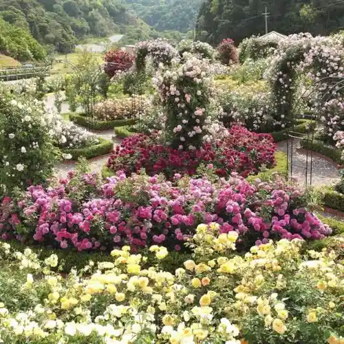 Debiddo Osuchin Ingurisshurozu Garden to Purantsu Center