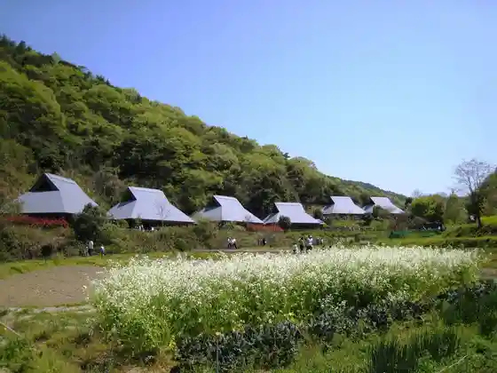 Fumin Forest (Horigo Enchi) [ Aisho : Ki Izumi Waiwai Village FUNNY HEARTH]