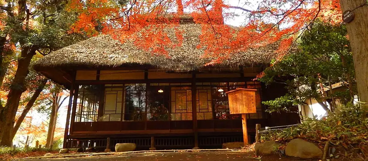 Roka Tsune Haru Sono