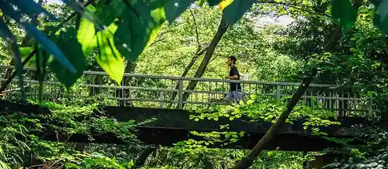 Kinuta Park