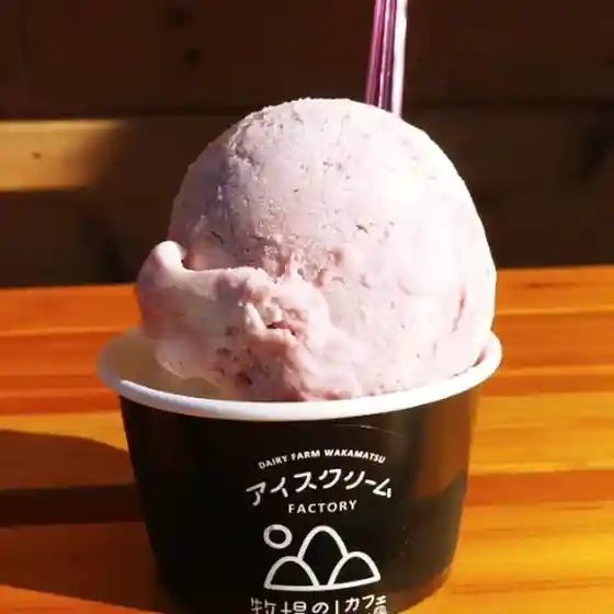 アイスクリームファクトリー 牧場の山カフェ