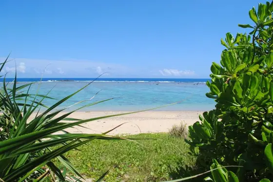Tokohama Coast