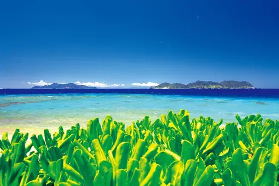 Sukomo Coast