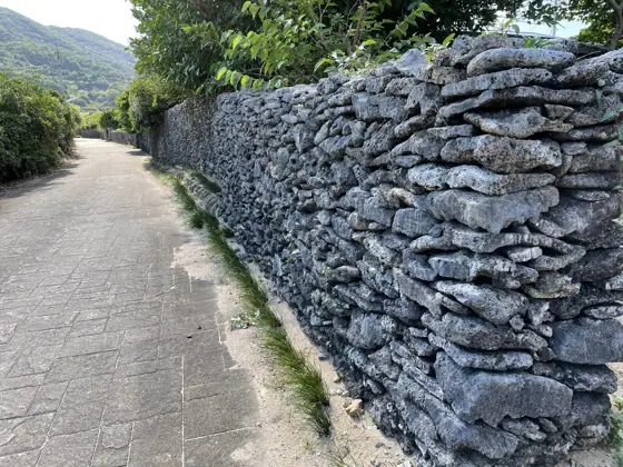 Coral Stone Walls