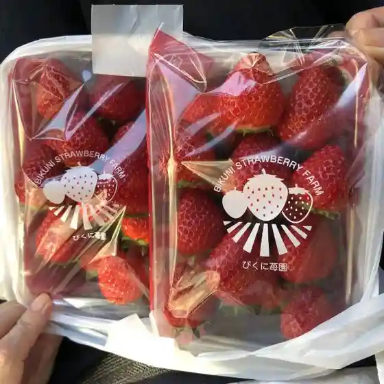 びくに苺園