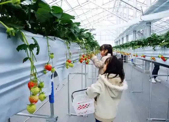 Adoban Farm Shibata