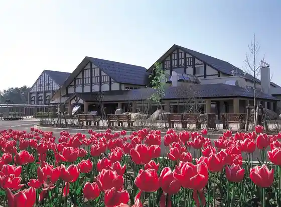 Shinso Yu Onsen (Shiun no Sato)