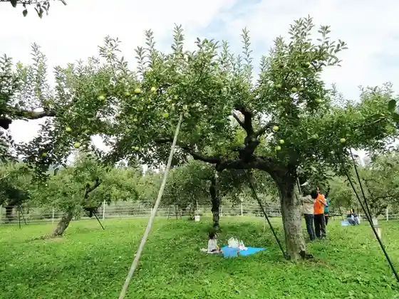 Kurashima Farm