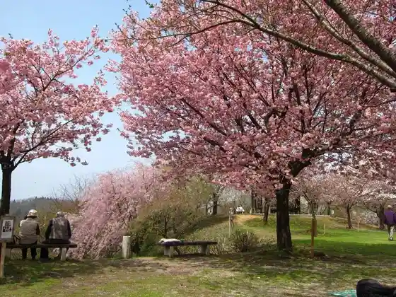 Omine Yamazakura Park