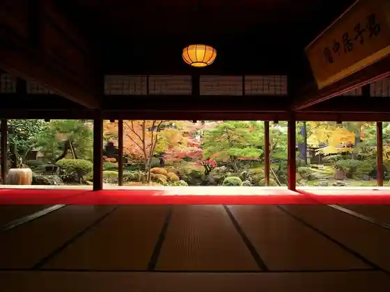 Autumn Leaves no Garden × Nihombunka “ Masa Na Niigata ” Mankitsu Higaeri Tabi Gardens in Fall Colors – Japanese Culture”Exquisite Niigata” Grand Tour