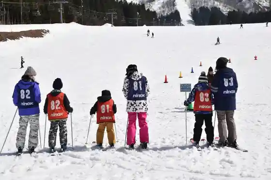 Oyako Sukiikyanpu 2024/ Ni no Kkususu no Park
