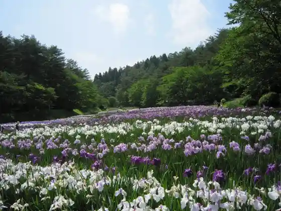 Izumino Park