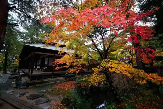 Shimizu Sono