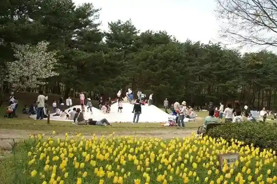 Prefectural Shiunji Memorial Park