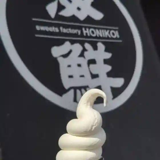 ホニコイ