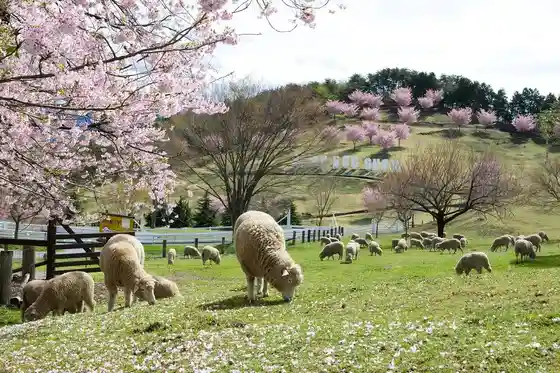Ikaho Green Farm