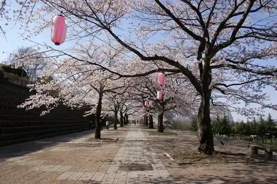 Shibukawa Comprehensive Park