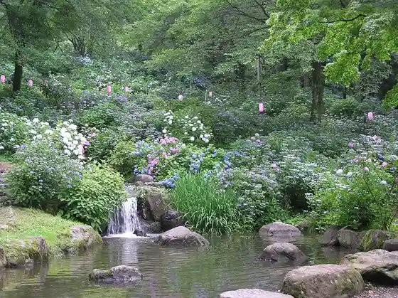 Onoike Hydrangea Park