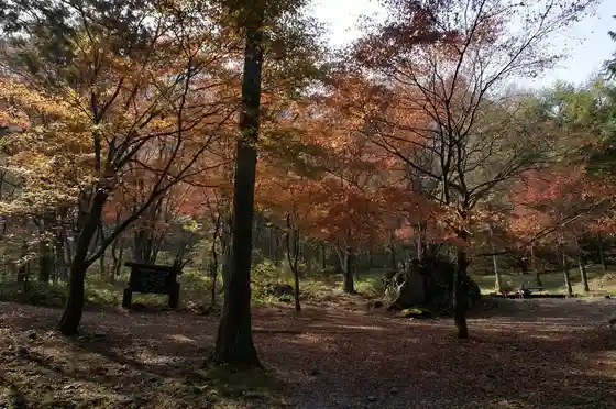 Ikaho Forest Park