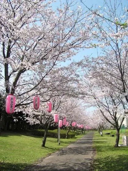 Shibushi Ohama Green Park